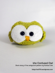 the Confused Owl promo by Karissa Cole