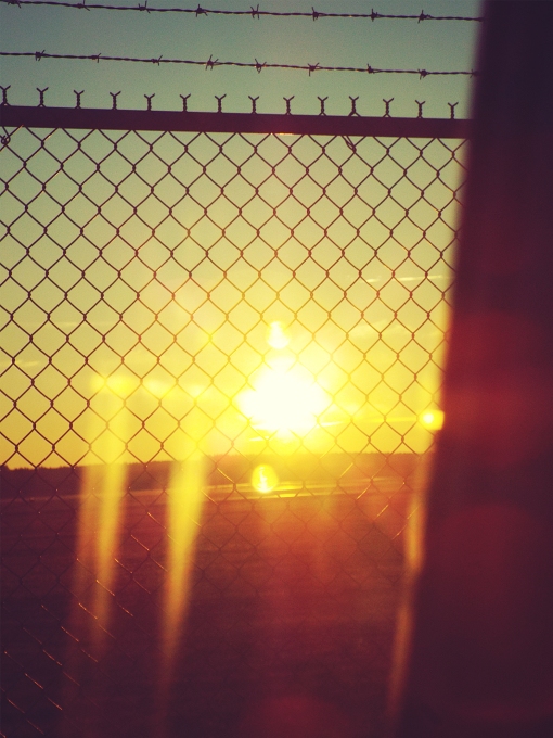 Airport sunset 5 Karissa Cole 2014